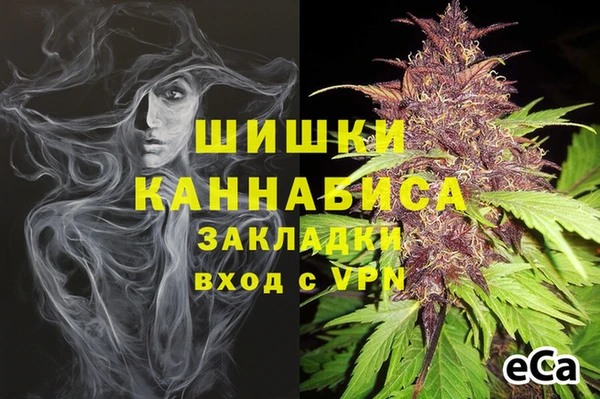 стафф Алзамай