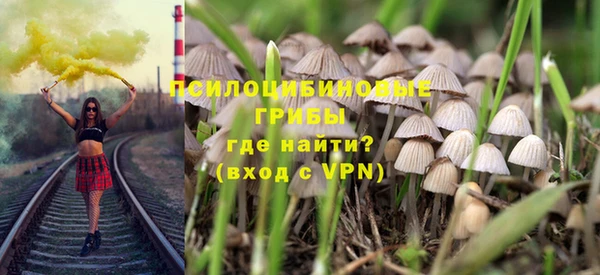 крисы Алексин