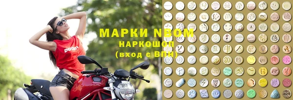 стафф Алзамай