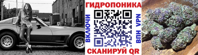 закладки  MEGA зеркало  Шишки марихуана AK-47  Ардон 